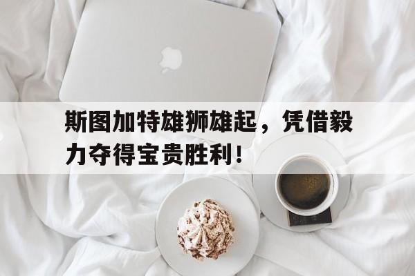 关于斯图加特雄狮雄起，凭借毅力夺得宝贵胜利！的信息