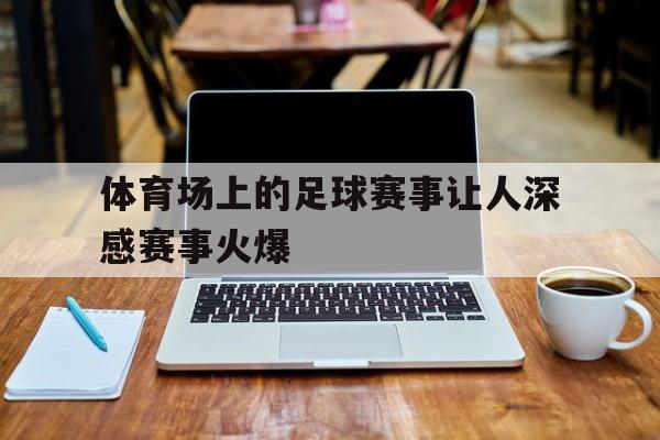 体育场上的足球赛事让人深感赛事火爆的简单介绍